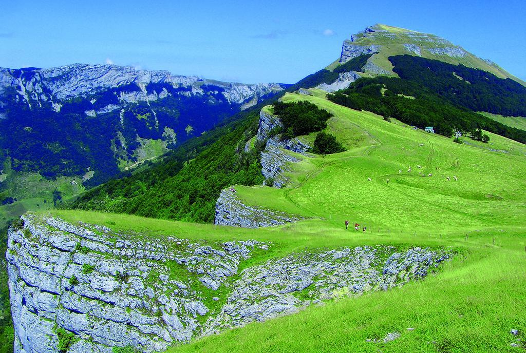 Roulottes Au Pied Du Vercors Saint-Jean-en-Royans Exteriér fotografie